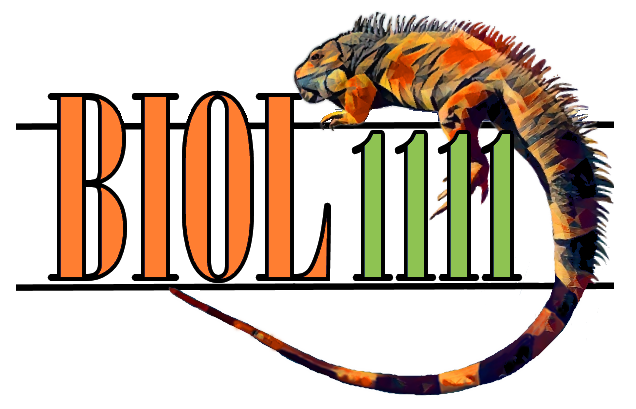 Biol1114